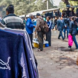 A Winding Road: Population and Consumption in India